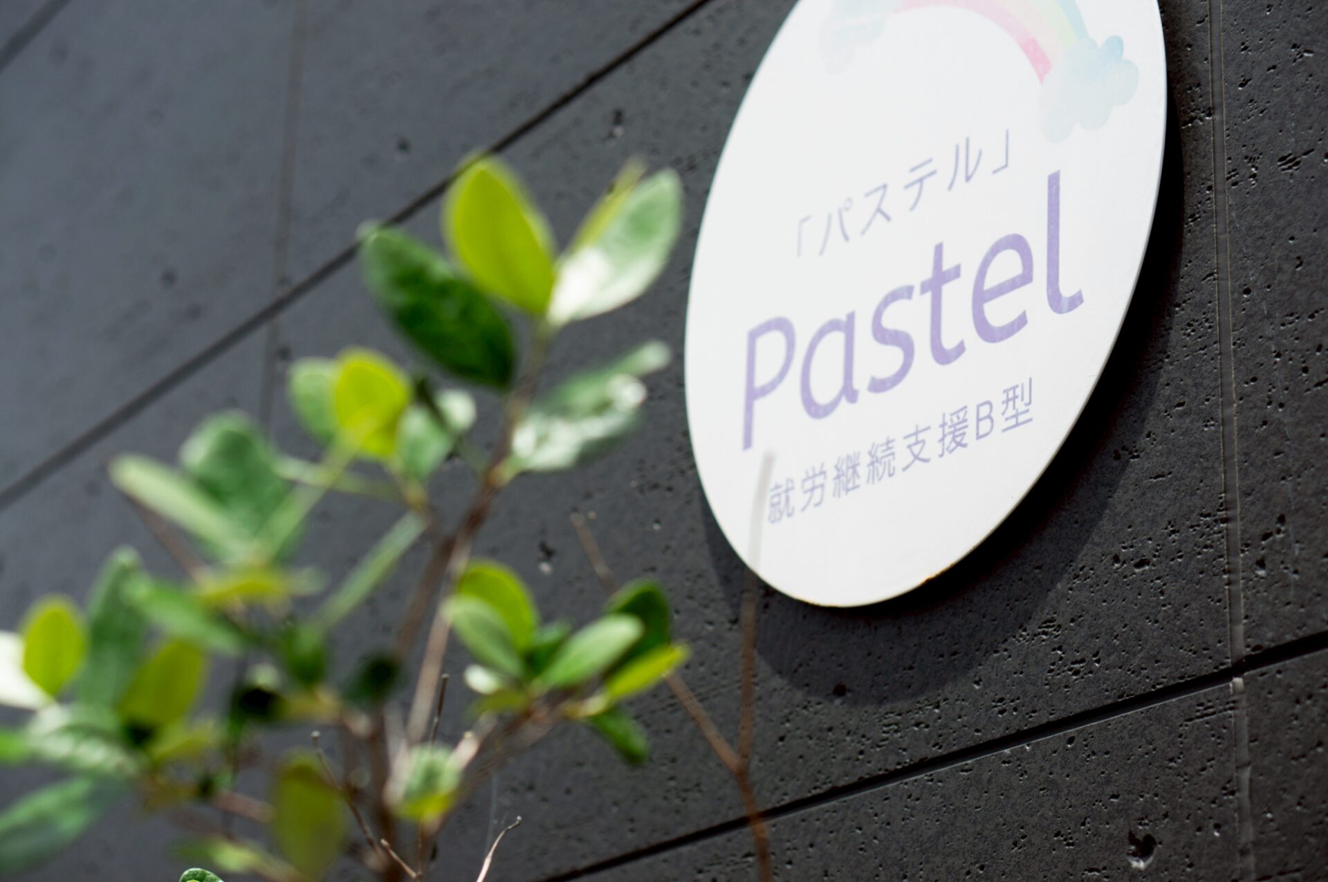 迷ってもいい。ゆっくりでいい。就労継続支援B型事業所 Pastel が支援する、自分らしさを取り戻す旅。