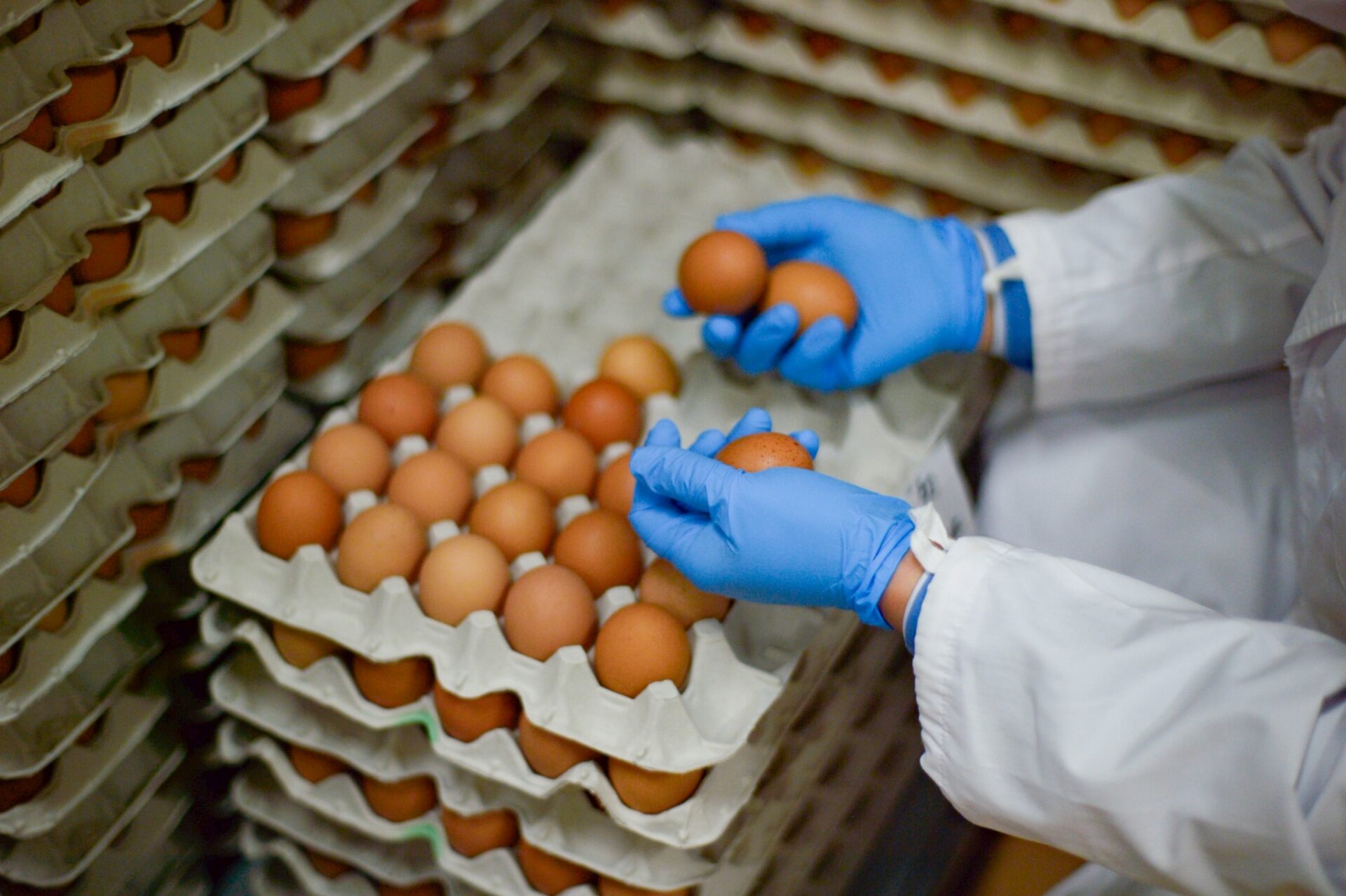 株式会社 落水正商店