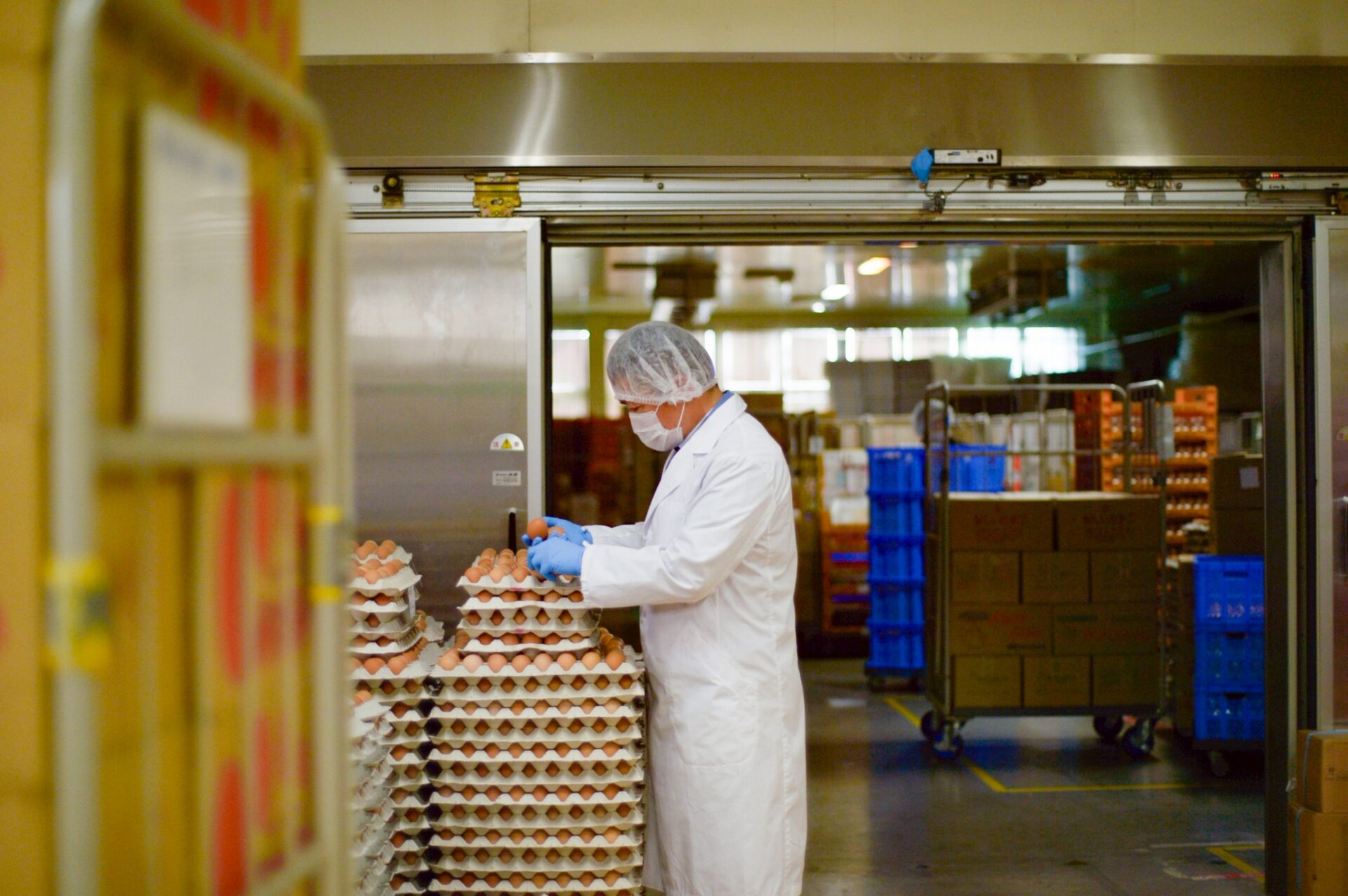 太陽のように、暮らしを静かに照らす卵。「太陽卵（たいようらん）」