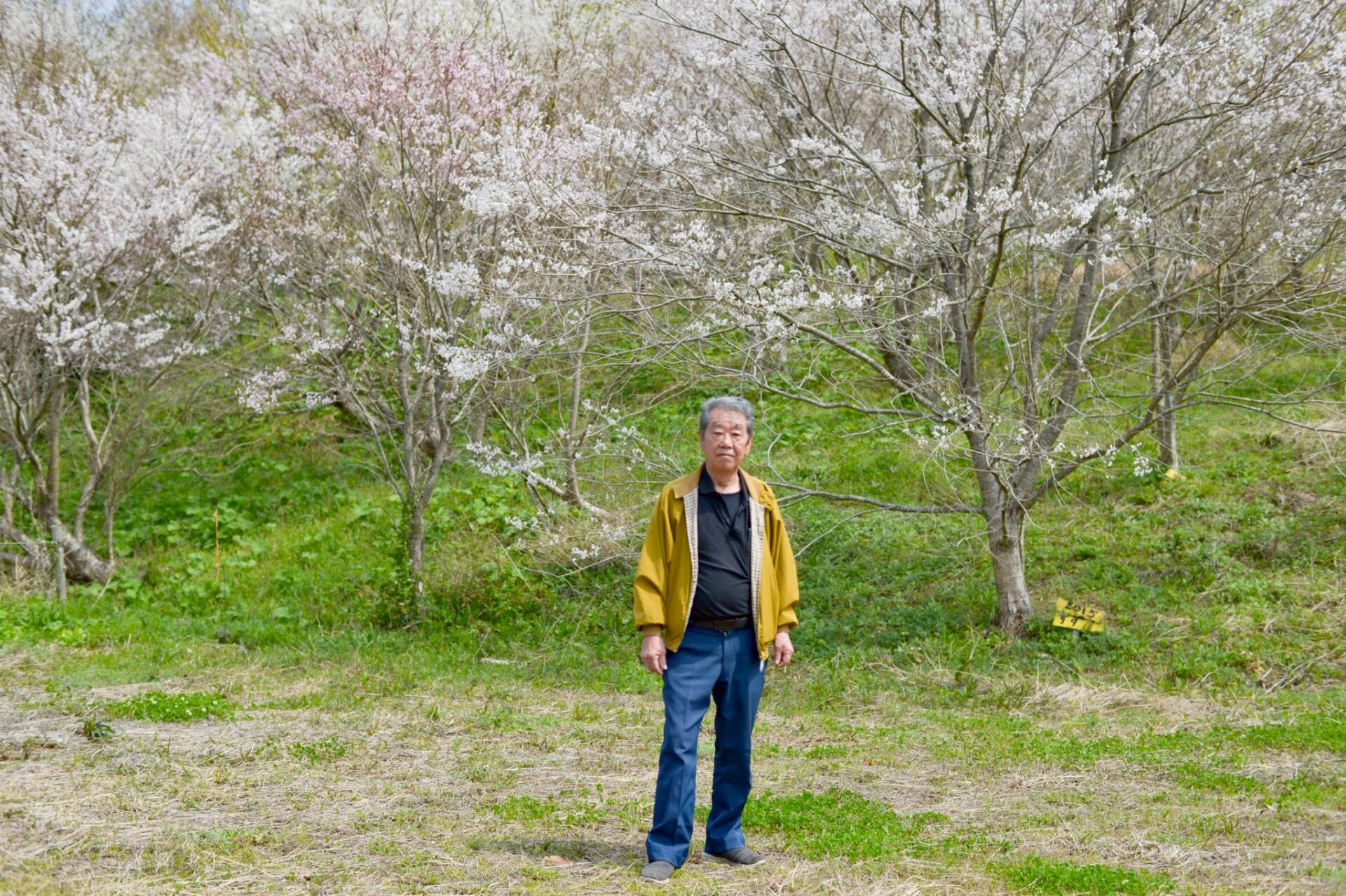松浦市